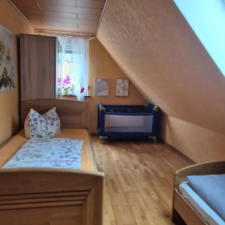 Eira Am Nahen Schoenen Edersee -sachsenhausen Apartament